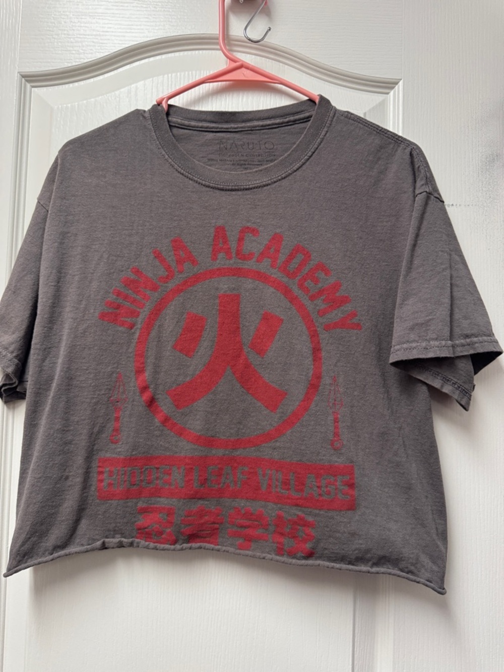 Ninja Academy Graphic Crop Tee - Red on Charcoal